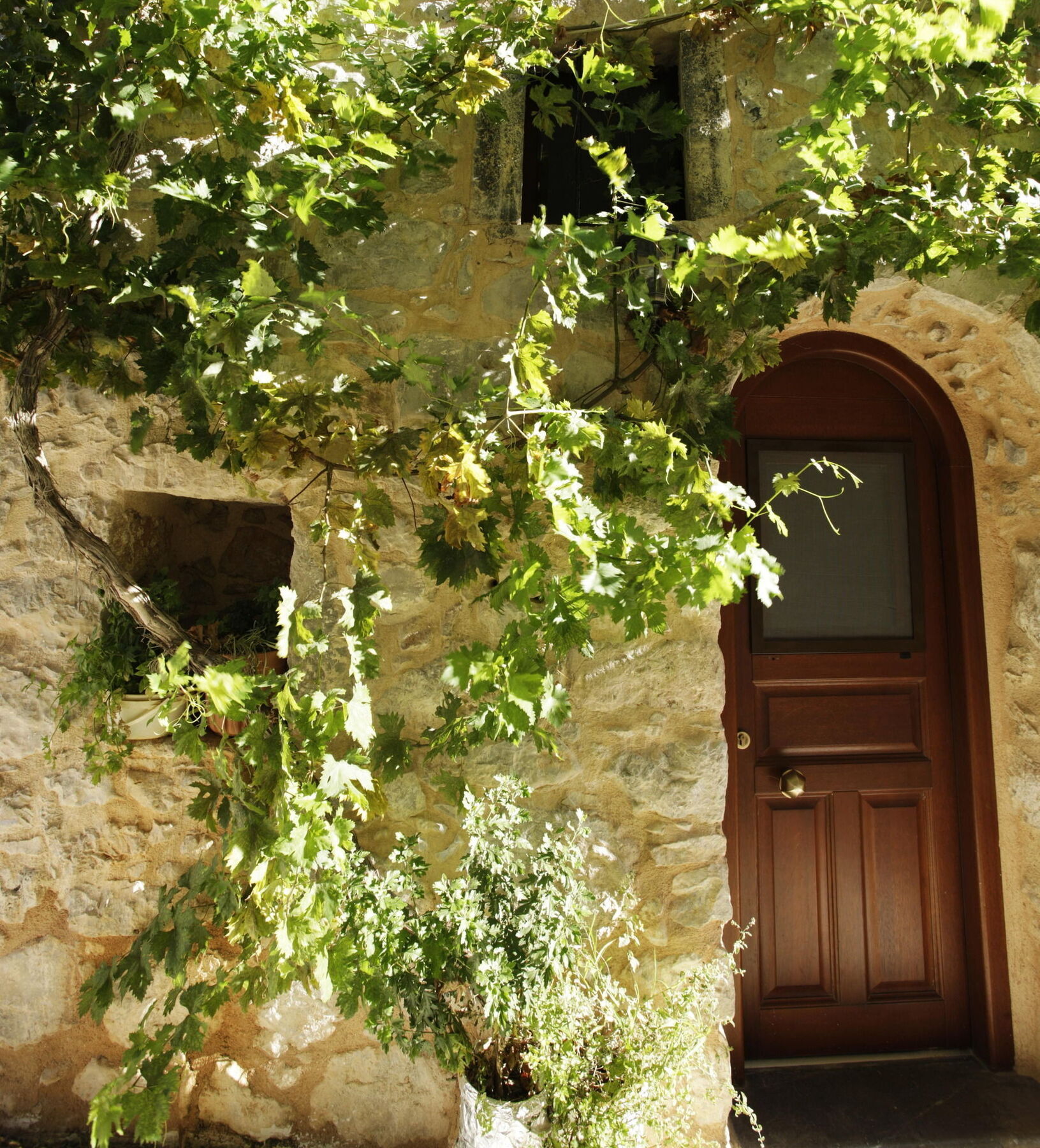 Traditional Boutique Hotel " Ianthe " Véssa Exterior photo